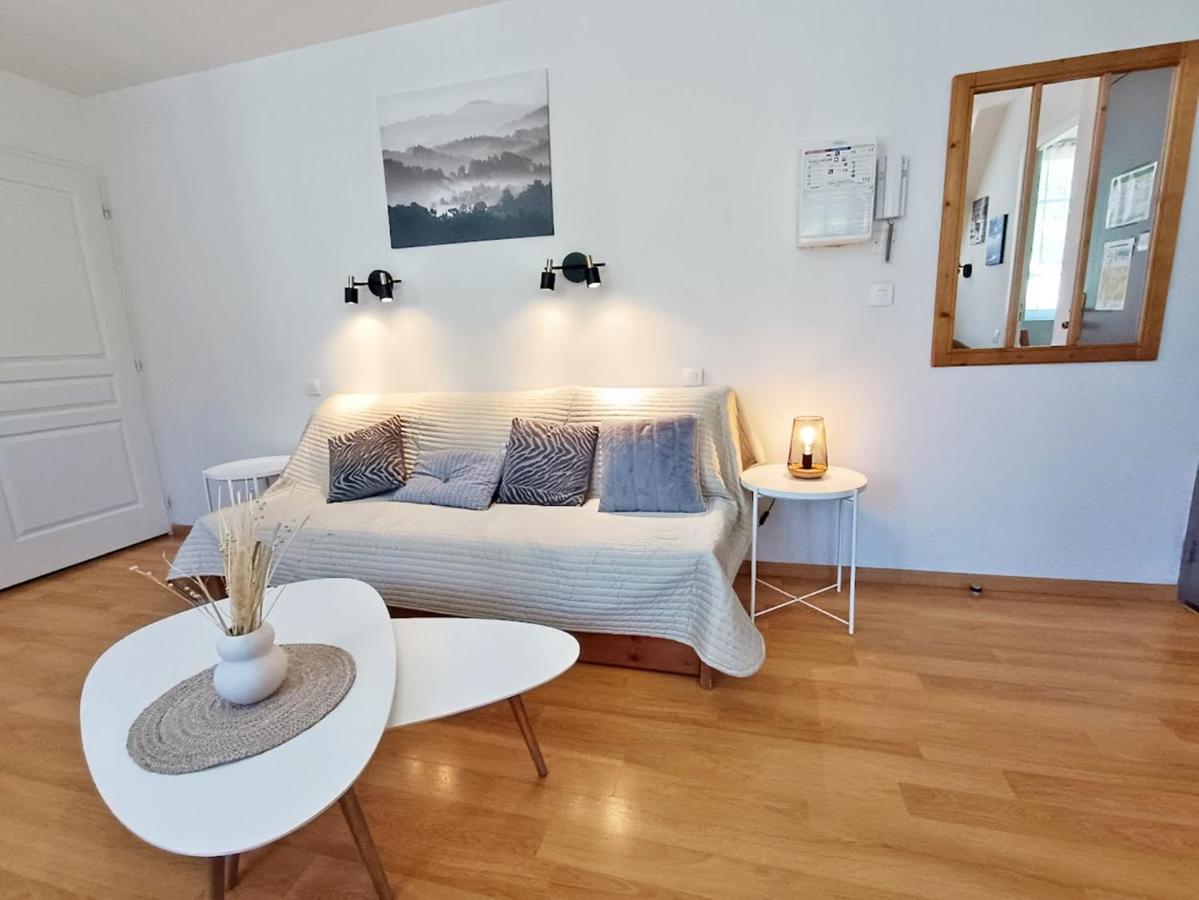 Le Venasque, T2, Centre Luchon, Wifi, Casier A Ski, Ascenseur, 4 Personnes Bagneres-de-Luchon